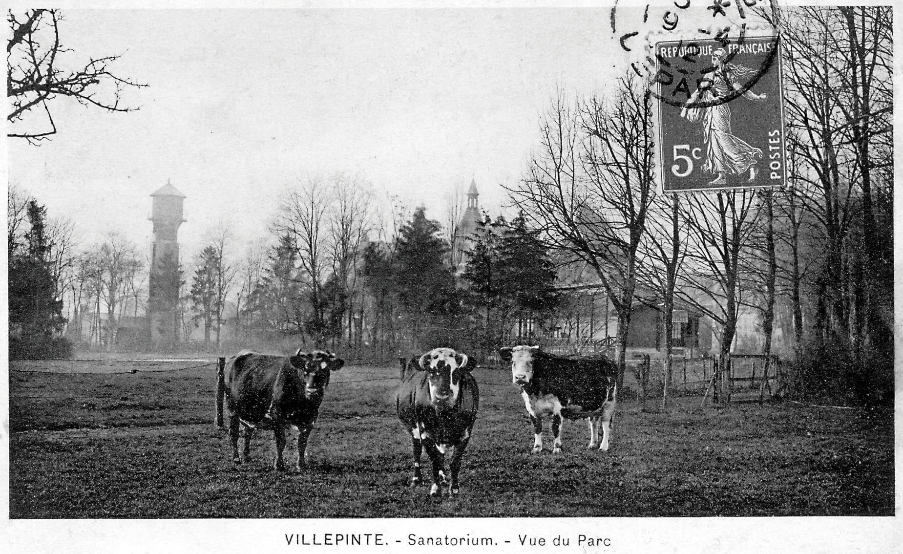 Carte postale du parc du Sanatorium de Villepinte avec des vaches